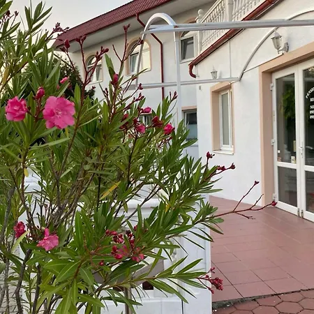 Guest house Europa - Sala *